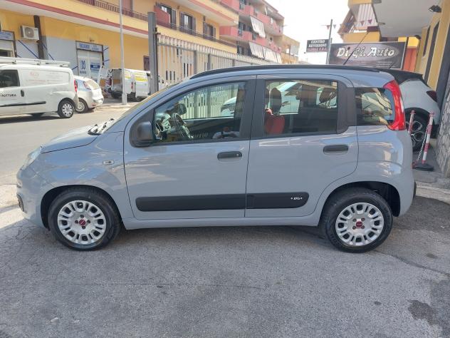 Fiat Panda 1.2 EasyPower Easy GPL 69cv my19 - Foto 4