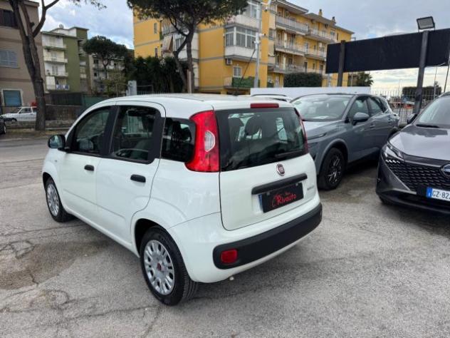 FIAT Panda 1.0 FireFly S&S Hybrid Easy rif. 24032063 - Foto 7