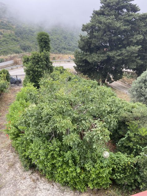 Villa bifamiliare Cinisi