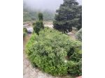 Villa bifamiliare Cinisi