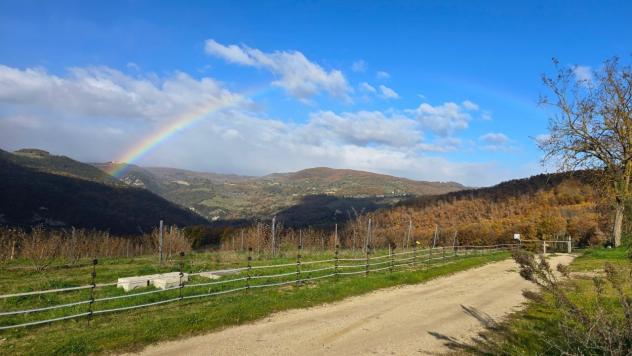 Azienda Agricola in vendita a Baschi - Foto 12