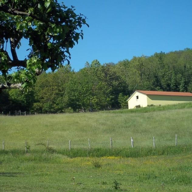 Agriturismo in vendita a Varese Ligure - Foto 3