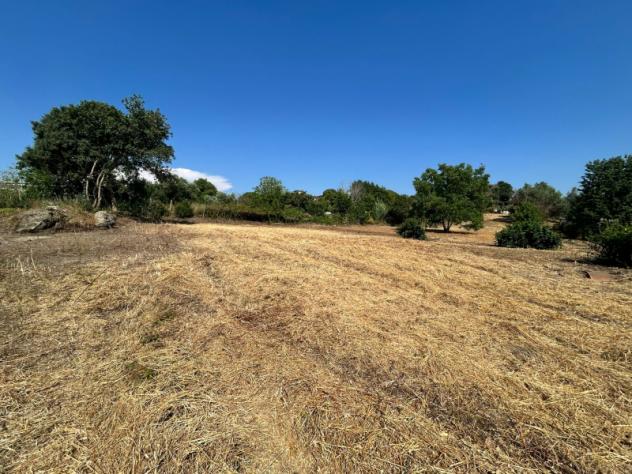 Agricolo in Vicolo Sant'Antonio in Canepine - Foto 5