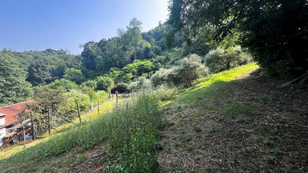 Area verde in vendita a Monteviale - Foto 20