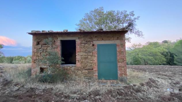 Terreno agricolo in vendita a Montorgiali - Scansano 103300 mq Rif: 1392018 - Foto 10