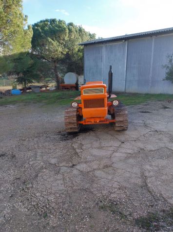 FIAT 355c montagna-soll.presa di forza-ottime condizioni - Foto 3