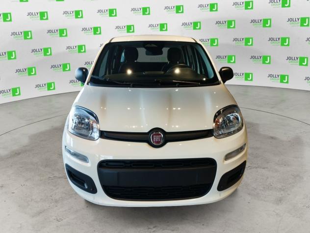 FIAT Panda NEW 1.0 70cv Hybrid Pop - Foto 3