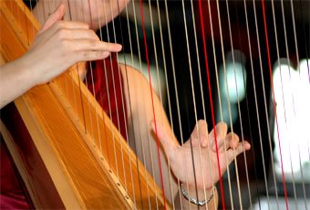 Musica - Musicisti per matrimoni - Foto 3