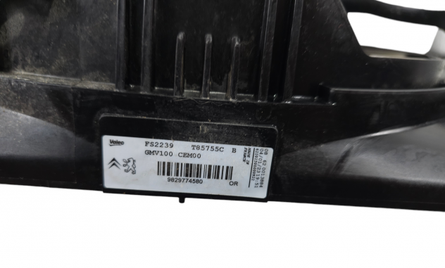 VENTOLA RADIATORE CITROEN C3 Serie 9829774580 HMR (EB2FA) Benzina 1200 (16) - Foto 13