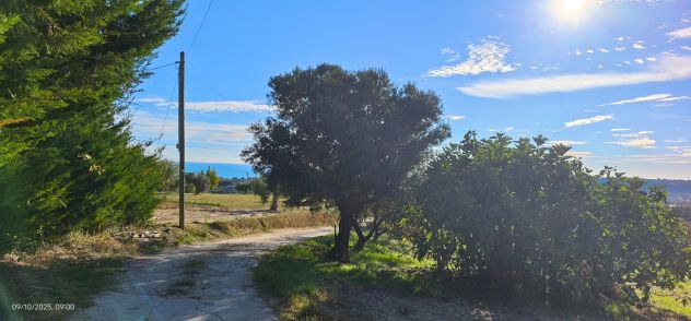 Terreno edificabile in Vendita colline di Francavilla al Mare - Foto 9