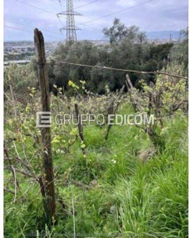 Terreno in vendita a Massa - Rif. 3559520 - Foto 4