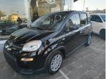 FIAT Panda 1.0 65CV ICON Hybrid rif. 23377933