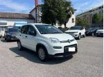 FIAT Panda 1.0 FireFly S&S Hybrid 70CV UNICO PROPRIETARIO rif. 23675530
