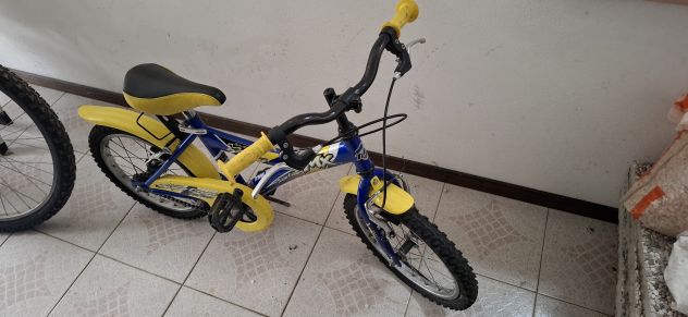 Bicicletta bambino 6 anni