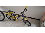 Bicicletta bambino 6 anni