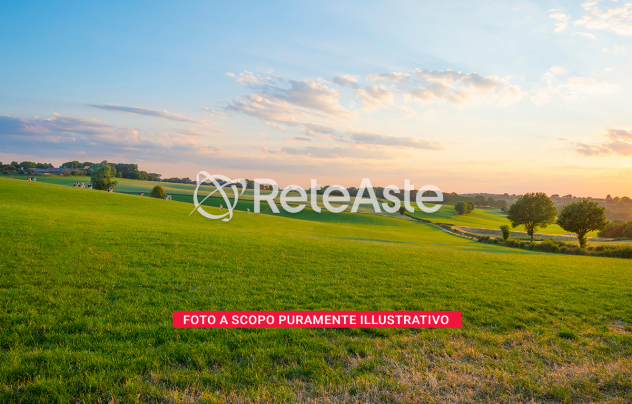 Terreno agricolo vicino al fiume Calore – Apice (Benevento)