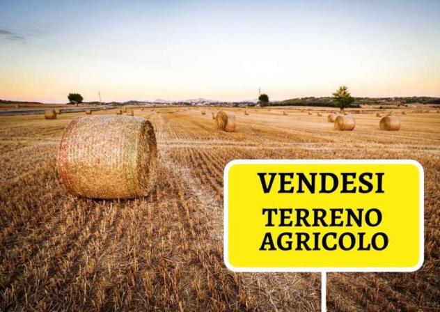 Terreno agricolo in vendita a Latignano - Cascina 10640 mq  Rif: 1170135