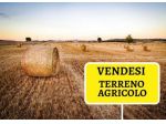 Terreno agricolo in vendita a Latignano - Cascina 10640 mq  Rif: 1170135