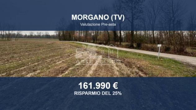 Immobile in asta di 35262 m² in vendita a Morgano