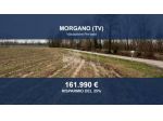 Immobile in asta di 35262 m² in vendita a Morgano