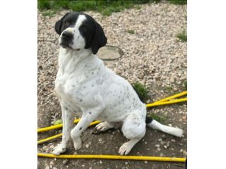 Micky 1 anno taglia media