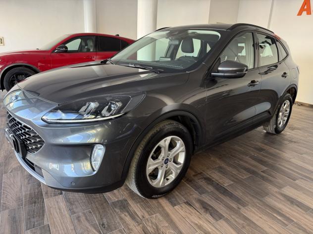 Ford Kuga Kuga 1.5 ecoblue Titanium Business 2wd 120cv - Foto 3