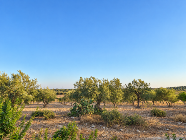 in vendita a Noto - Foto 15