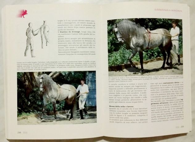 Il libro più completo sul mondo dei cavalli e cavallieri Ed.Demetra 1994 come nu - Foto 3