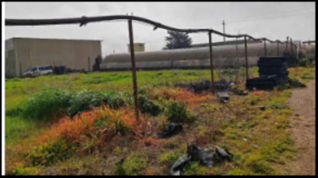 Immobile in asta di 900 m² con più di 5 locali in vendita a Gioia del Colle - Foto 6