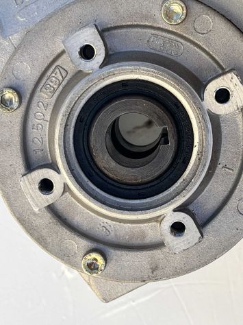 NERI Motoriduttore 0,25 + Riduttore BONFIGLIOLI 20/1 - Foto 6