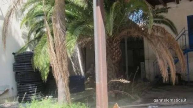 Immobile in asta di 1055 m² in vendita a Casarano - Foto 10