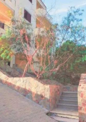 Immobile in asta di 8 m² in vendita a La Maddalena - Foto 12