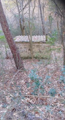 Terreno agricolo in vendita a Capannori 5600 mq Rif: 1313968