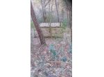 Terreno agricolo in vendita a Capannori 5600 mq  Rif: 1313968