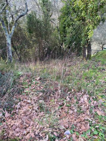 Agricolo in Via Campo di Ne - Foto 2