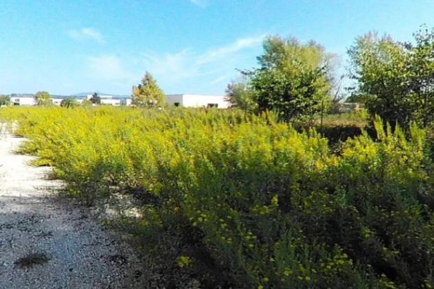 Immobile in asta di 5280 m² in vendita a Recanati - Foto 5