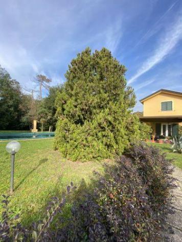 Casa singola in vendita a Castelnuovo Magra 319 mq Rif: 1330749 - Foto 3