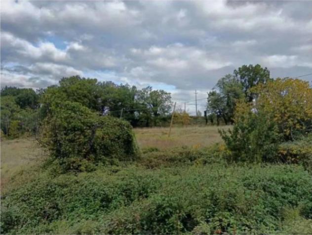 Immobile in asta di 290 m² con più di 5 locali in vendita a Pergola - Foto 9