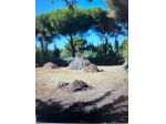 Terreno agricolo in vendita a Baratti - Piombino 2400 mq  Rif: 1312831