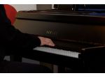 Pianista Parma