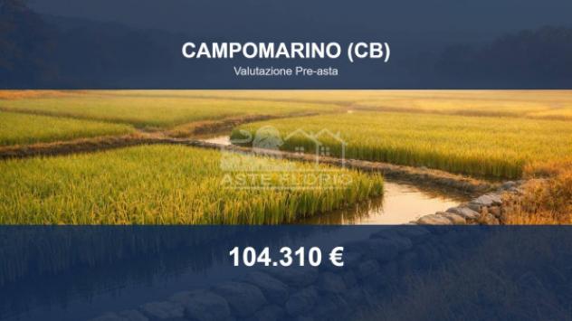 Immobile in asta di 61505 m² in vendita a Campomarino
