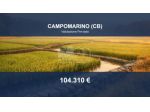 Immobile in asta di 61505 m² in vendita a Campomarino