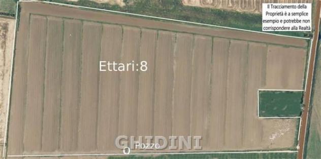 TERRENO AGRICOLO di 1 vani e di 80000 mq (ORBETELLO - ALBINIA) rif. 2375.272M - Foto 2