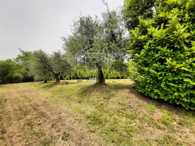 Terreno Agricolo - Roè Volciano . Rif.: 001 TA Trobiolo - Foto 7