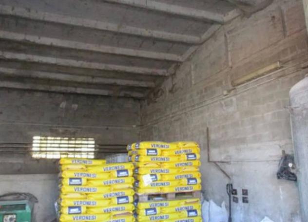Immobile in asta di 7899 m² in vendita a Pieve del Cairo - Foto 16