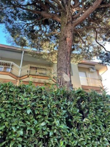 Immobile in asta di 181 m², box auto in vendita a Biella - Foto 3