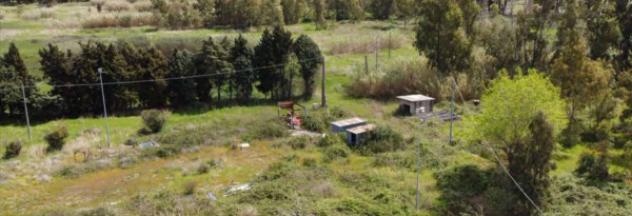 Immobile in asta di 79900 m² in vendita a Feroleto Antico - Foto 11