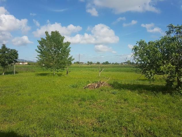 Terreno agricolo in vendita a San Giuliano Terme 5440 mq Rif: 450602