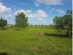 Terreno agricolo in vendita a San Giuliano Terme 5440 mq  Rif: 450602