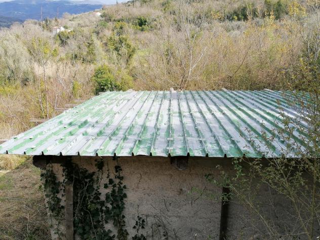 Agricolo in Contrada Puglisi - Foto 8